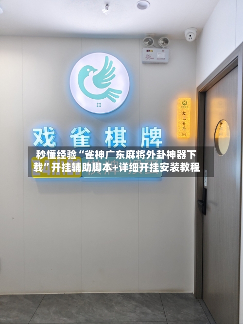 秒懂经验“雀神广东麻将外卦神器下载”开挂辅助脚本+详细开挂安装教程-第3张图片