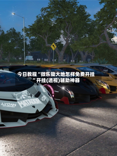 今日教程“微乐锄大地怎样免费开挂”开挂(透视)辅助神器-第2张图片