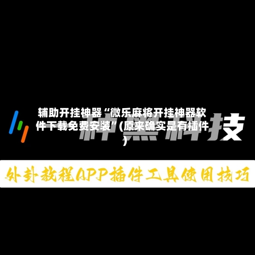辅助开挂神器“微乐麻将开挂神器软件下载免费安装	”(原来确实是有插件)-第2张图片