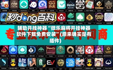 辅助开挂神器“微乐麻将开挂神器软件下载免费安装”(原来确实是有插件)-第3张图片