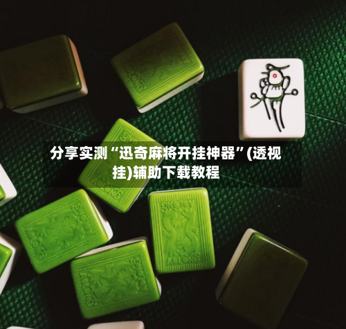 分享实测“迅奇麻将开挂神器	”(透视挂)辅助下载教程-第2张图片