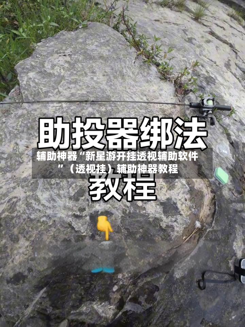 辅助神器“新星游开挂透视辅助软件	”（透视挂）辅助神器教程-第2张图片