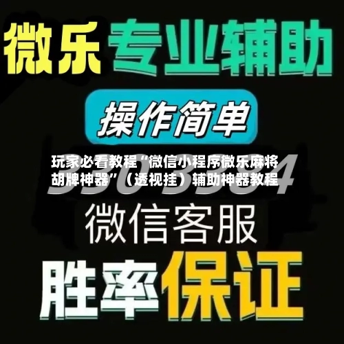 玩家必看教程“微信小程序微乐麻将胡牌神器	”（透视挂）辅助神器教程-第2张图片