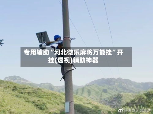 专用辅助“河北微乐麻将万能挂	”开挂(透视)辅助神器-第2张图片