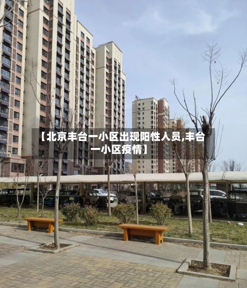 【北京丰台一小区出现阳性人员,丰台一小区疫情】-第2张图片