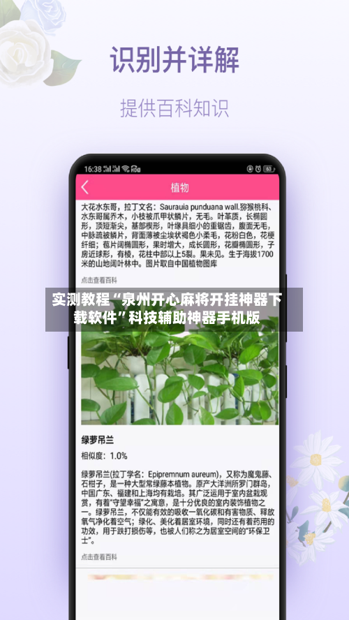 实测教程“泉州开心麻将开挂神器下载软件	”科技辅助神器手机版-第2张图片
