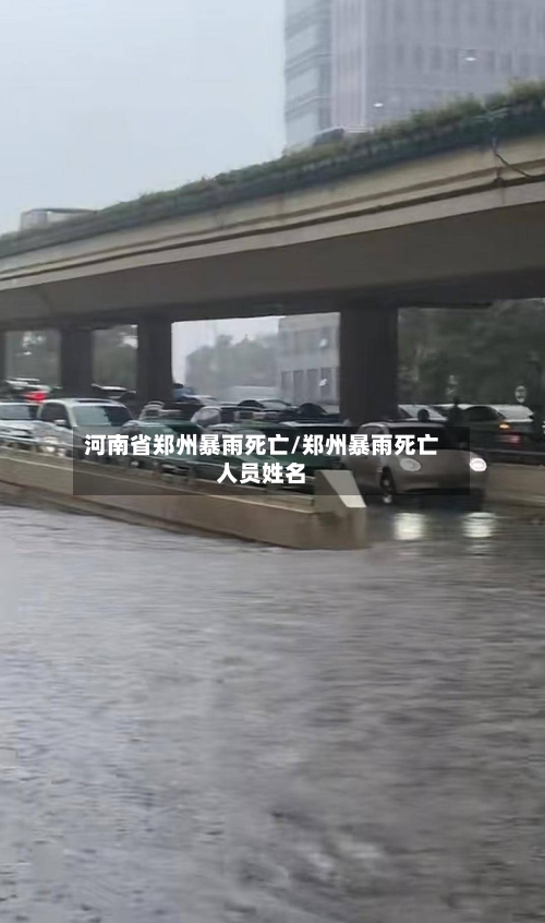 河南省郑州暴雨死亡/郑州暴雨死亡人员姓名