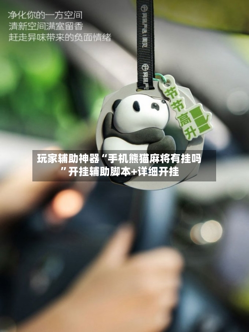 玩家辅助神器“手机熊猫麻将有挂吗”开挂辅助脚本+详细开挂-第2张图片