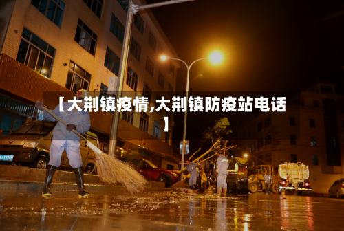 【大荆镇疫情,大荆镇防疫站电话】