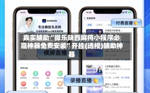 真实辅助“微乐陕西麻将小程序必赢神器免费安装	”开挂(透视)辅助神器-第3张图片