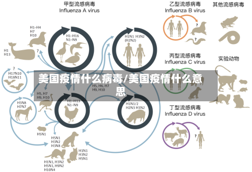 美国疫情什么病毒/美国疫情什么意思-第2张图片