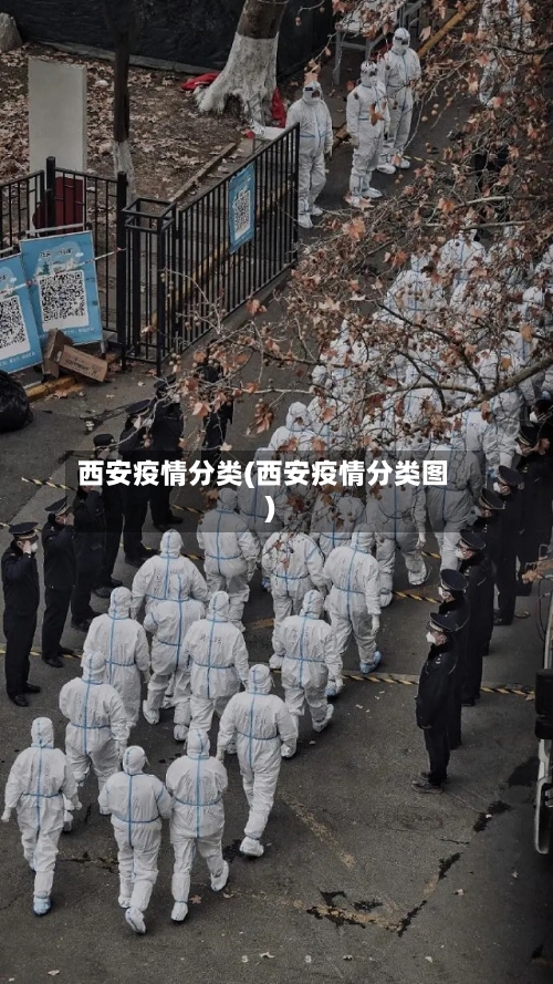 西安疫情分类(西安疫情分类图)
