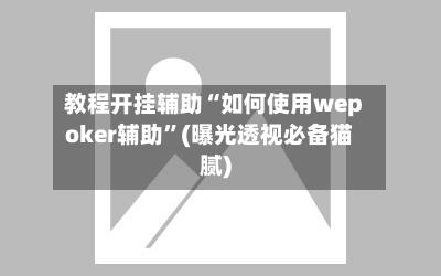 教程开挂辅助“如何使用wepoker辅助	”(曝光透视必备猫腻)-第2张图片