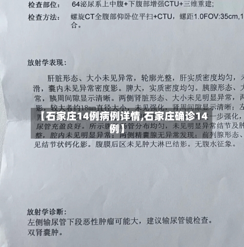 【石家庄14例病例详情,石家庄确诊14例】-第2张图片