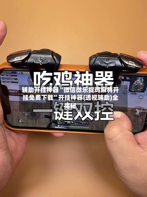 辅助开挂神器“微信微乐捉鸡麻将开挂免费下载	”开挂神器{透视辅助}全揭秘-第2张图片