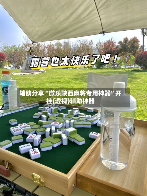 辅助分享“微乐陕西麻将专用神器”开挂(透视)辅助神器-第3张图片