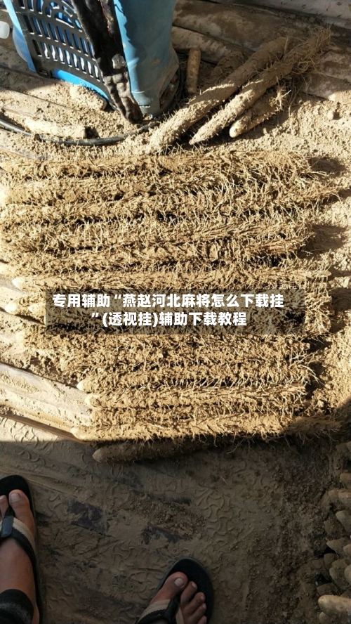 专用辅助“燕赵河北麻将怎么下载挂”(透视挂)辅助下载教程-第2张图片