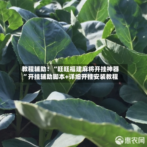 教程辅助！“旺旺福建麻将开挂神器”开挂辅助脚本+详细开挂安装教程