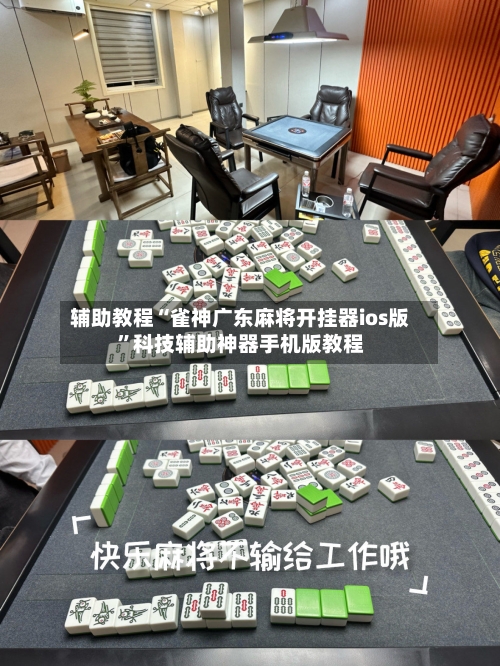 辅助教程“雀神广东麻将开挂器ios版”科技辅助神器手机版教程-第2张图片