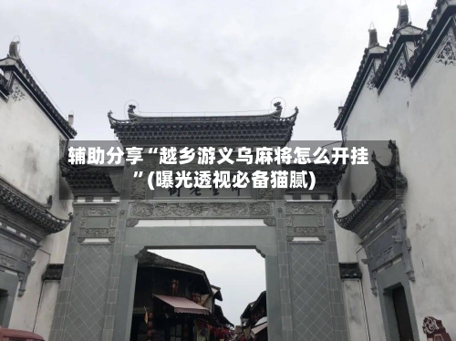 辅助分享“越乡游义乌麻将怎么开挂”(曝光透视必备猫腻)-第2张图片