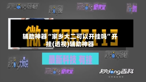 辅助神器“家乡大二可以开挂吗”开挂(透视)辅助神器-第3张图片