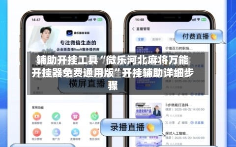 辅助开挂工具“微乐河北麻将万能开挂器免费通用版”开挂辅助详细步骤-第3张图片