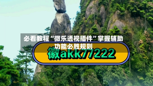 必看教程“微乐透视插件”掌握辅助功能必胜规则-第2张图片