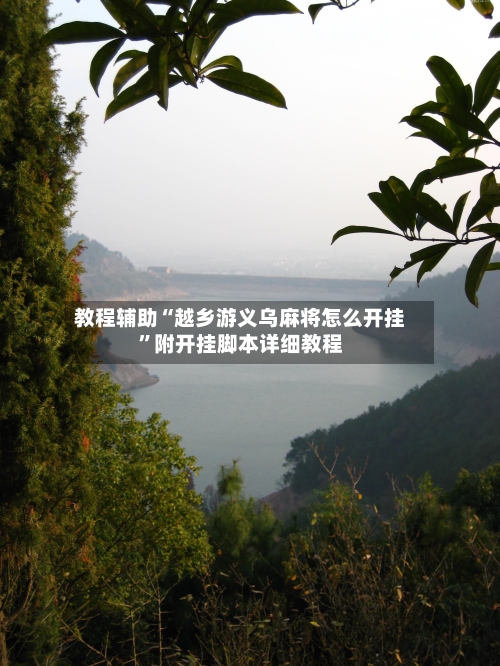 教程辅助“越乡游义乌麻将怎么开挂”附开挂脚本详细教程-第3张图片