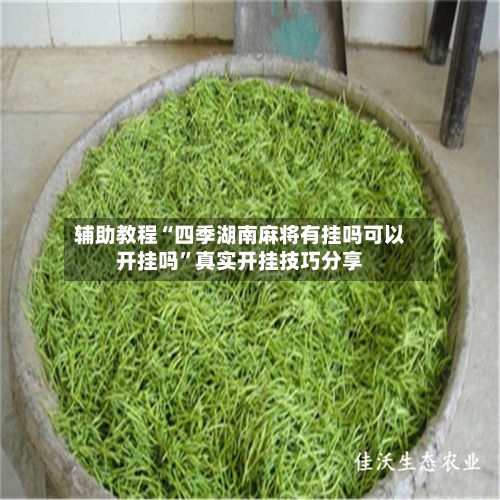 辅助教程“四季湖南麻将有挂吗可以开挂吗”真实开挂技巧分享