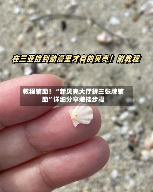 教程辅助！“新贝壳大厅拼三张牌辅助”详细分享装挂步骤-第3张图片