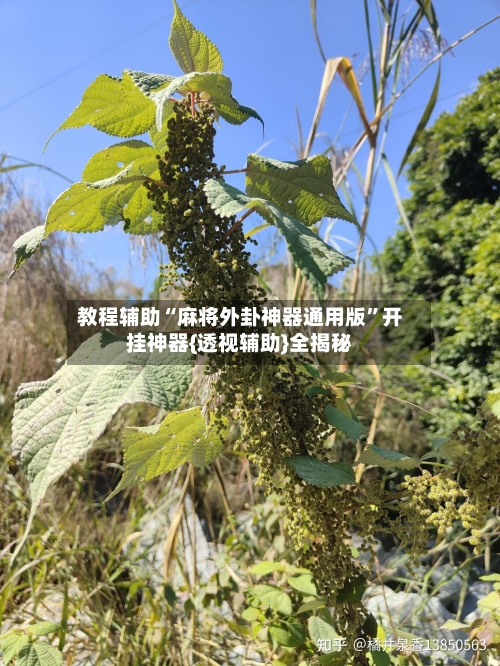 教程辅助“麻将外卦神器通用版	”开挂神器{透视辅助}全揭秘-第2张图片