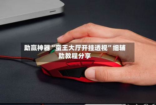 助赢神器“蛮王大厅开挂透视”细辅助教程分享-第2张图片