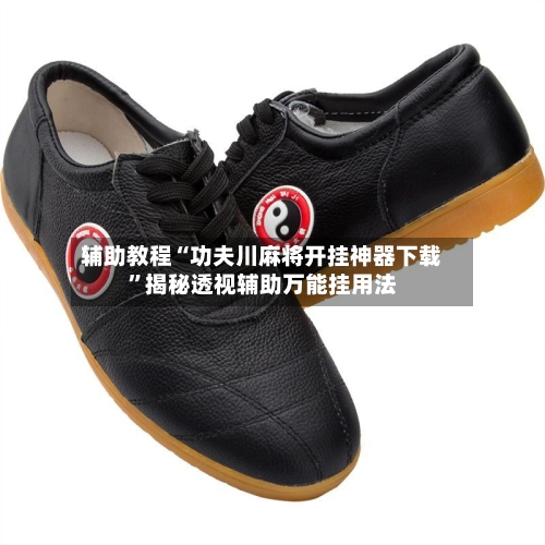 辅助教程“功夫川麻将开挂神器下载”揭秘透视辅助万能挂用法-第3张图片