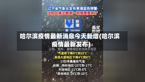 哈尔滨疫情最新消息今天新增(哈尔滨疫情最新发布)-第2张图片