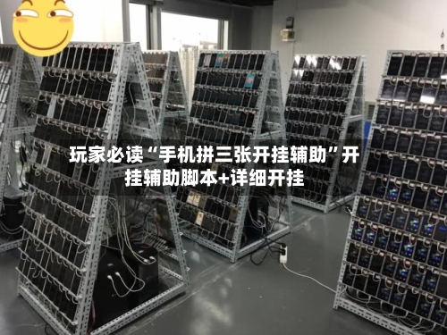 玩家必读“手机拼三张开挂辅助	”开挂辅助脚本+详细开挂-第2张图片