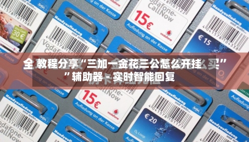 教程分享“三加一金花三公怎么开挂”辅助器 - 实时智能回复-第3张图片