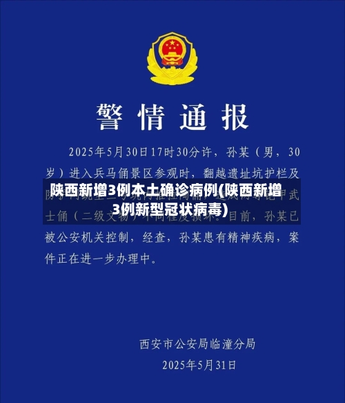 陕西新增3例本土确诊病例(陕西新增3例新型冠状病毒)-第2张图片