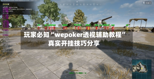玩家必知“wepoker透视辅助教程”真实开挂技巧分享-第2张图片