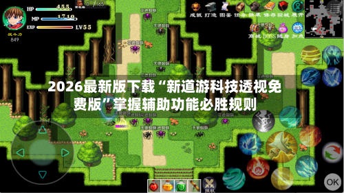 2026最新版下载“新道游科技透视免费版”掌握辅助功能必胜规则-第2张图片