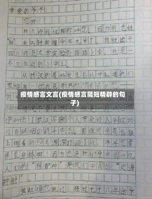 疫情感言文言(疫情感言简短精辟的句子)-第2张图片