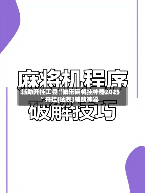 辅助开挂工具“微乐麻将挂神器2025	”开挂(透视)辅助神器-第2张图片