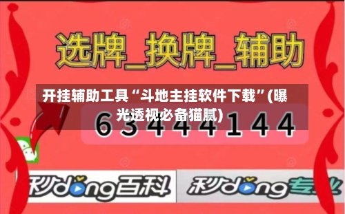 开挂辅助工具“斗地主挂软件下载”(曝光透视必备猫腻)-第2张图片