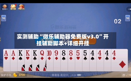 实测辅助“微乐辅助器免费版v3.0	”开挂辅助脚本+详细开挂-第2张图片