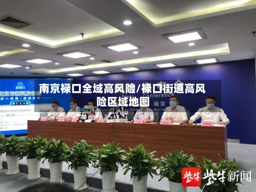 南京禄口全域高风险/禄口街道高风险区域地图-第2张图片