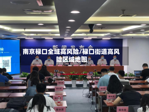 南京禄口全域高风险/禄口街道高风险区域地图