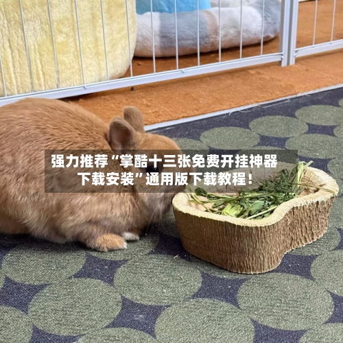 强力推荐“掌酷十三张免费开挂神器下载安装”通用版下载教程！-第3张图片