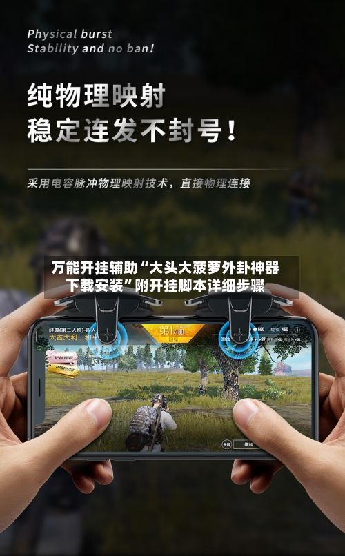 万能开挂辅助“大头大菠萝外卦神器下载安装”附开挂脚本详细步骤-第3张图片