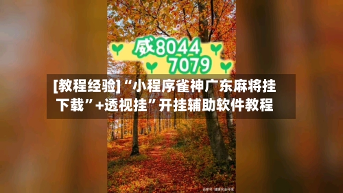 [教程经验]“小程序雀神广东麻将挂下载”+透视挂”开挂辅助软件教程-第2张图片