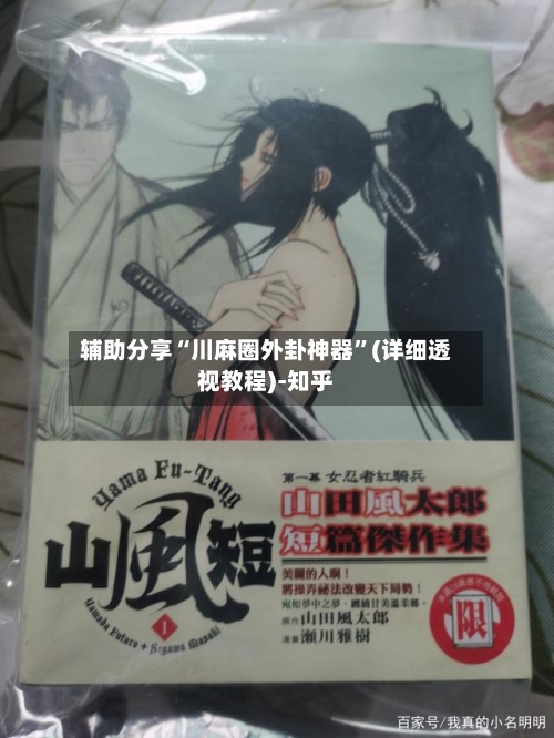 辅助分享“川麻圈外卦神器”(详细透视教程)-知乎-第2张图片