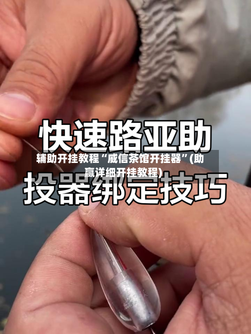 辅助开挂教程“威信茶馆开挂器”(助赢详细开挂教程)-第2张图片